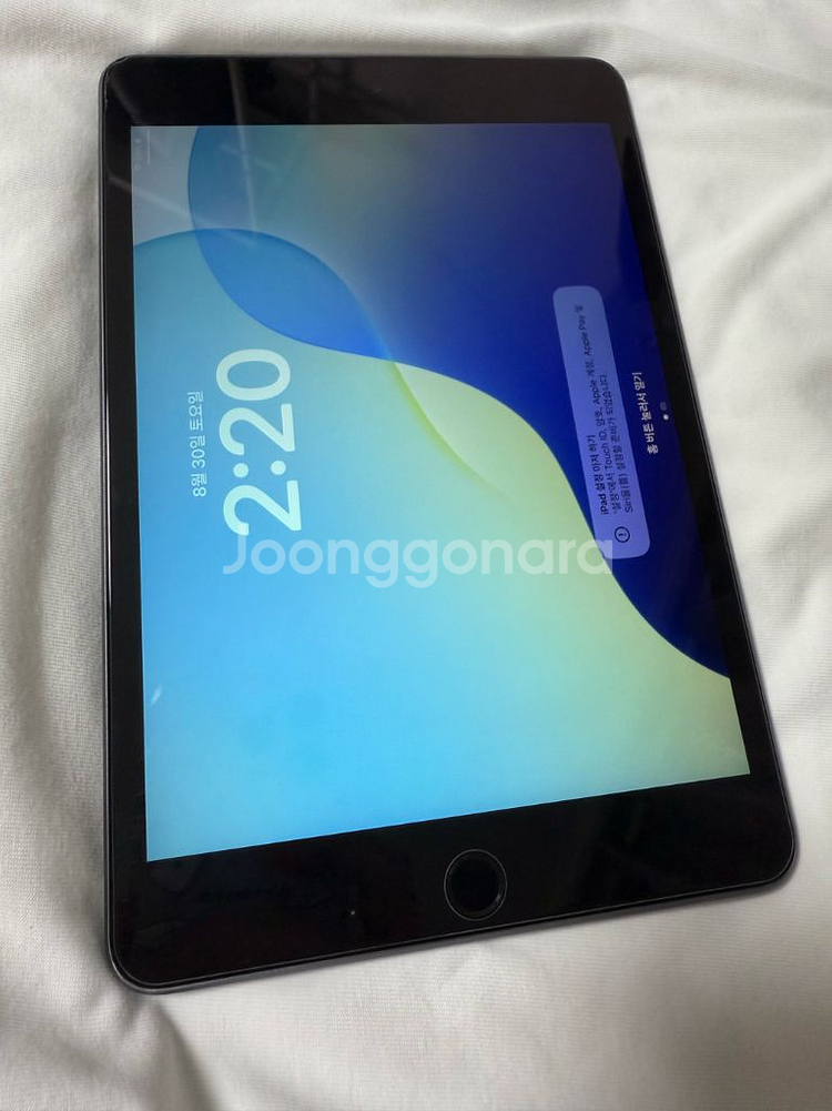 아이패드 미니5 wifi 64g (80%) 외관 S급--7