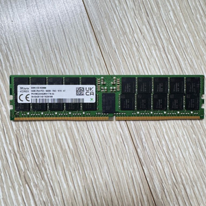 SK하이닉스 64GB DDR5 ECC