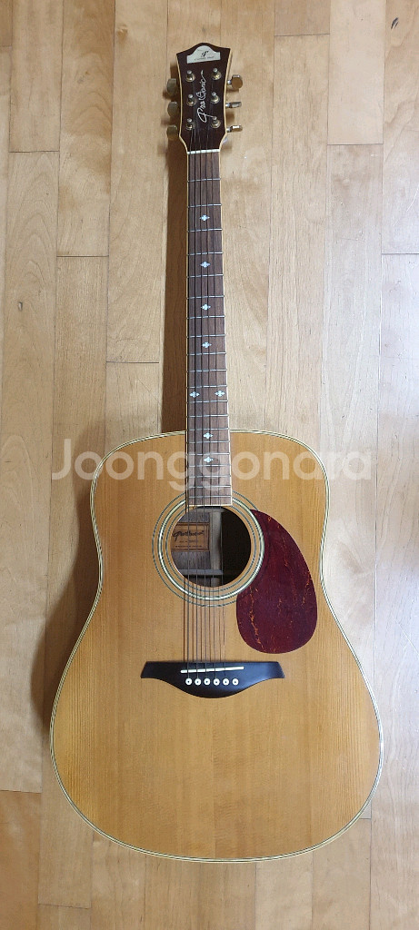 빈티지 ProSonic PS806-N 어쿠스틱 기타 (--0