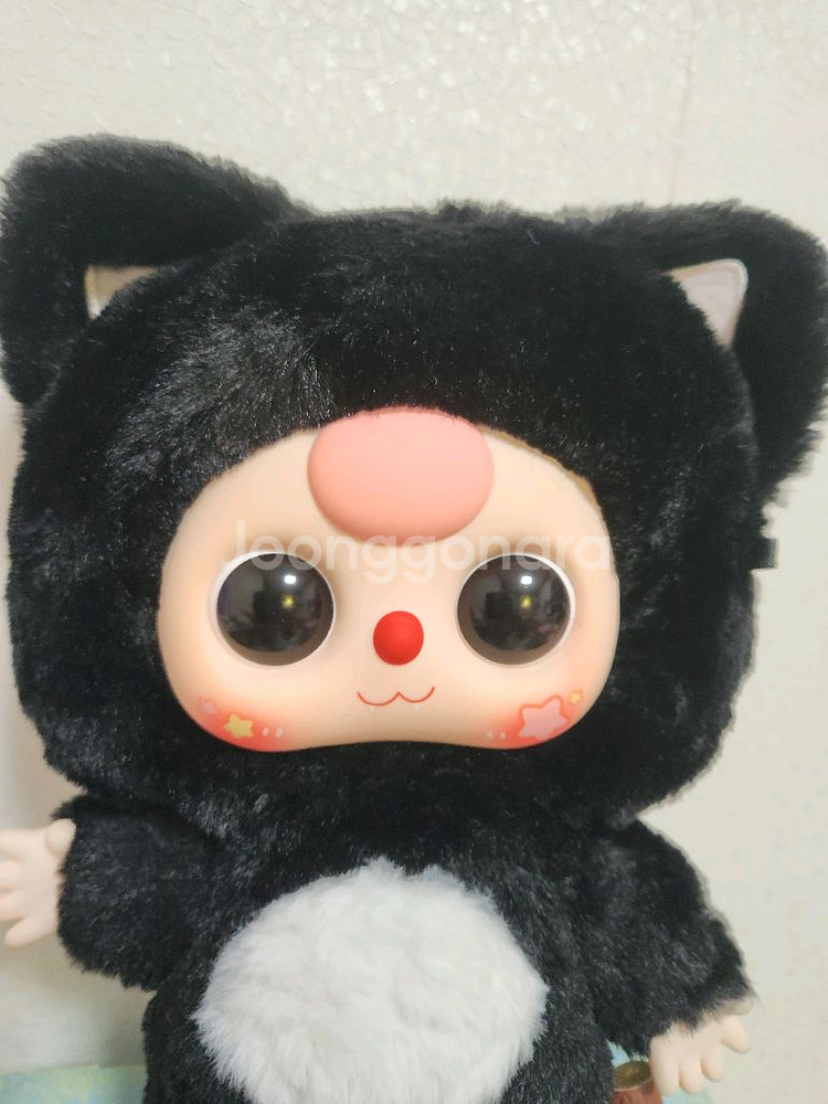 베이비쓰리 400% 고양이--1