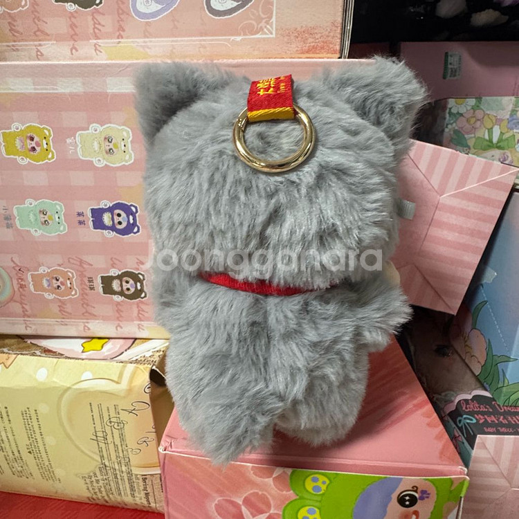 베이비쓰리 고양이옷장 상자o 카드o--1