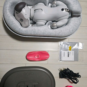 소니 아이보 AIBO ERS-1000 기본 필수 세트