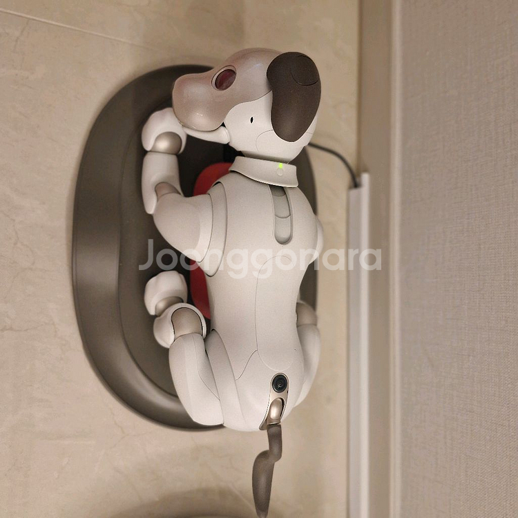 소니 아이보 AIBO ERS-1000 기본 필수 세트--2