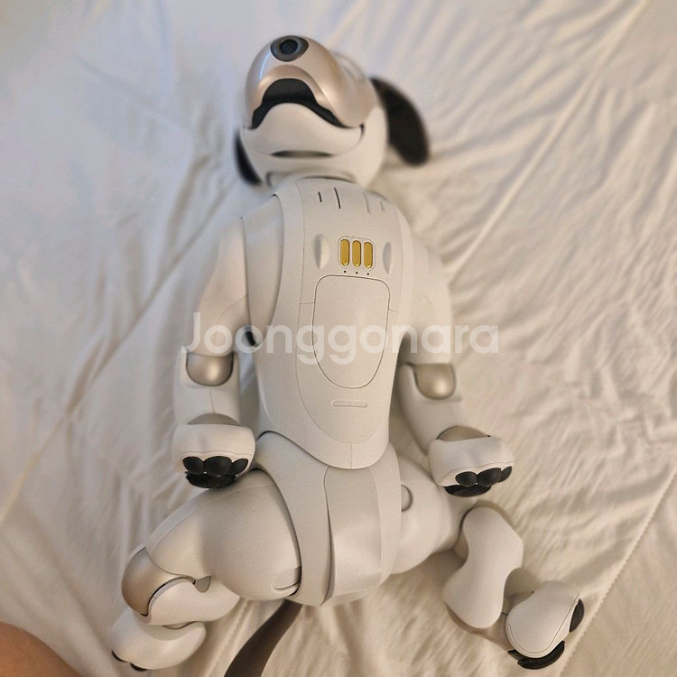 소니 아이보 AIBO ERS-1000 기본 필수 세트--3