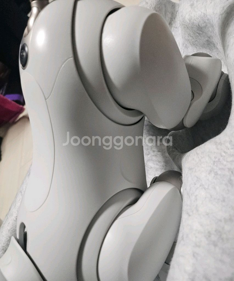 소니 아이보 AIBO ERS-1000 기본 필수 세트--8