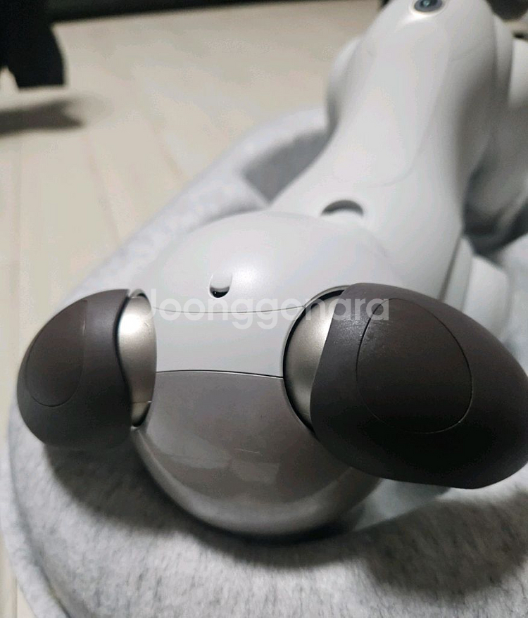 소니 아이보 AIBO ERS-1000 기본 필수 세트--7