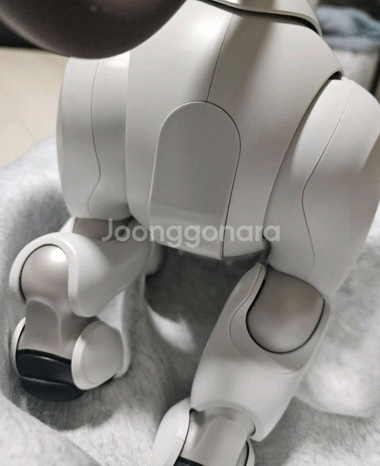 소니 아이보 AIBO ERS-1000 기본 필수 세트--5