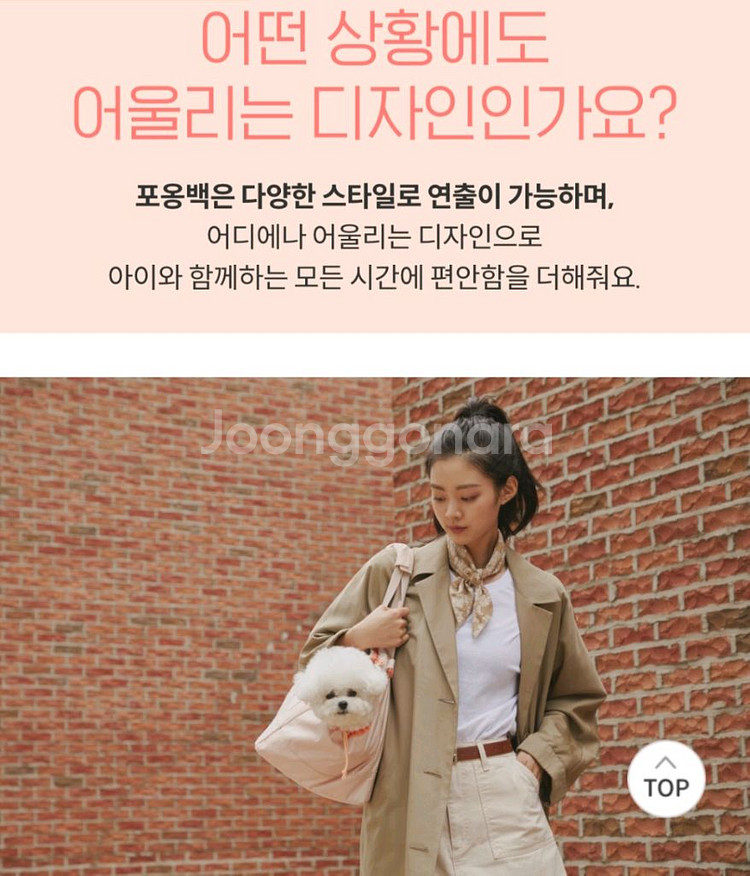 아르르 포옹백 강아지이동가방--3