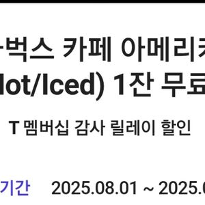 스타벅스 핫 아이스 카페 아메리카노Tall
