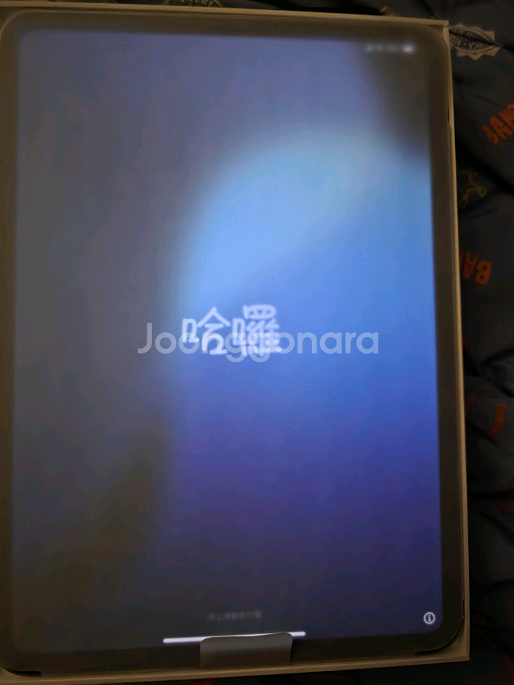 내림]iPad Pro 11인치 M4 512 셀룰러--3