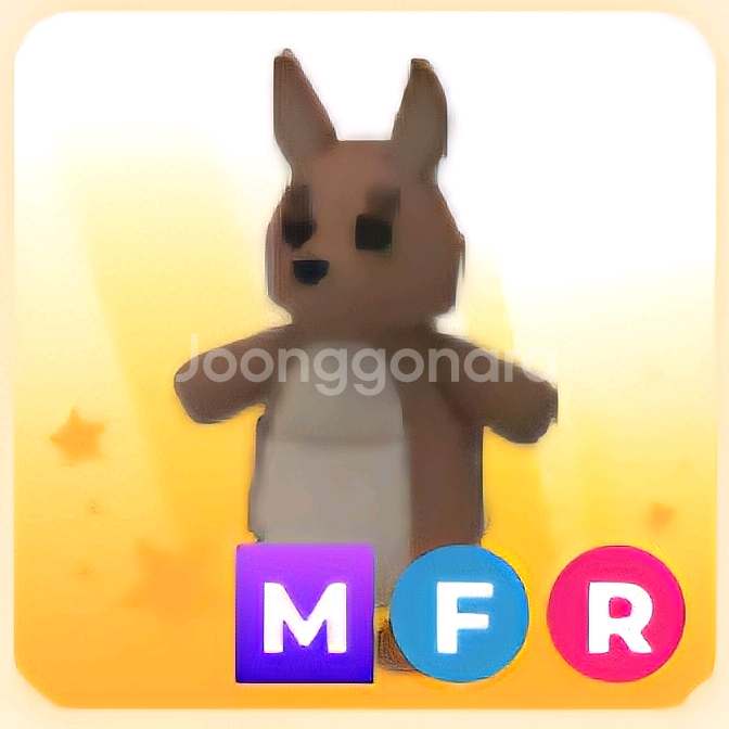 입양하세요 MFR 캥거루 (메캥)--0