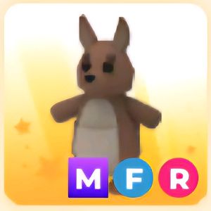 입양하세요 MFR 캥거루 (메캥)