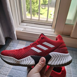 [295] 프로바운스