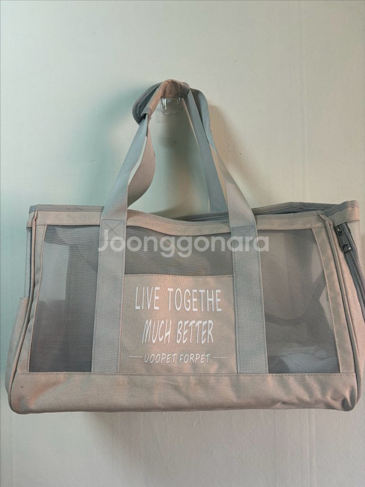 스페이스캣 애완동물 반려동물 이동가방--0