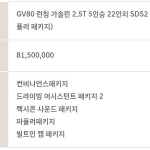GV80 2.5 20년6월식 팝니다