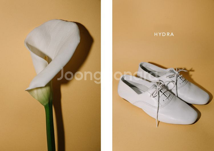 흐깡 Hydra - Blanc (Cuir) 17만원->--1