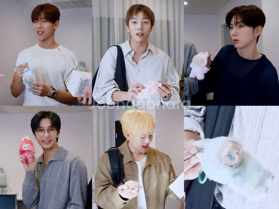 (미개봉) 팝마트 라부부 하이라이트 양도 판매 분철--2