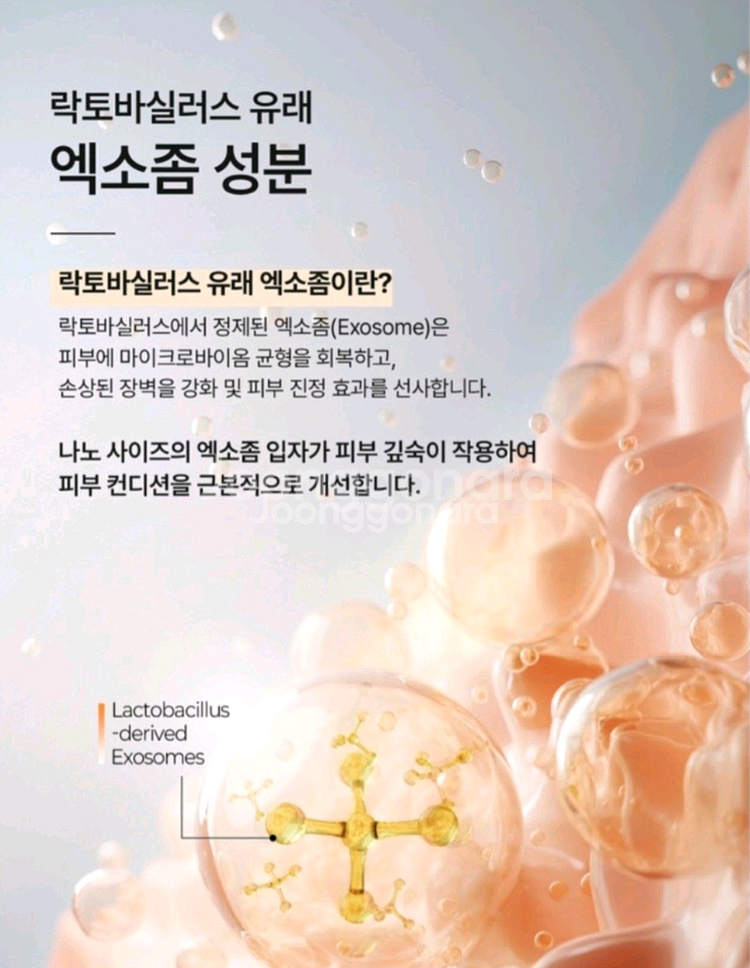 (새상품) 히알루론산 판테놀 엑소바이오좀샷 앰플--4