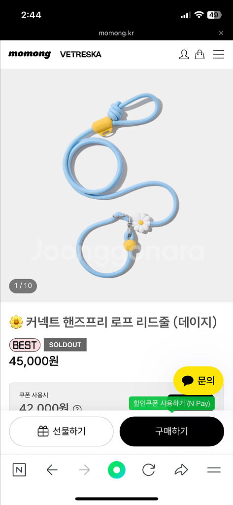 모몽 강아지 데이지 리드줄--2