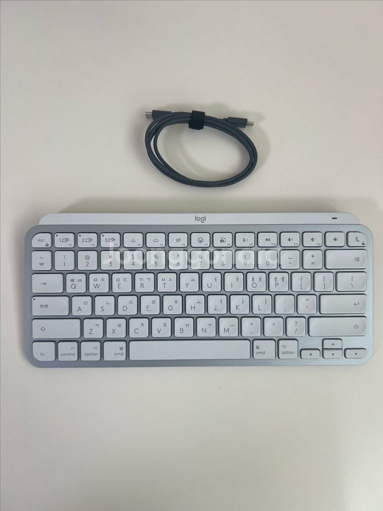 로지텍 MX Keys Mini for Mac 페일그레이--0