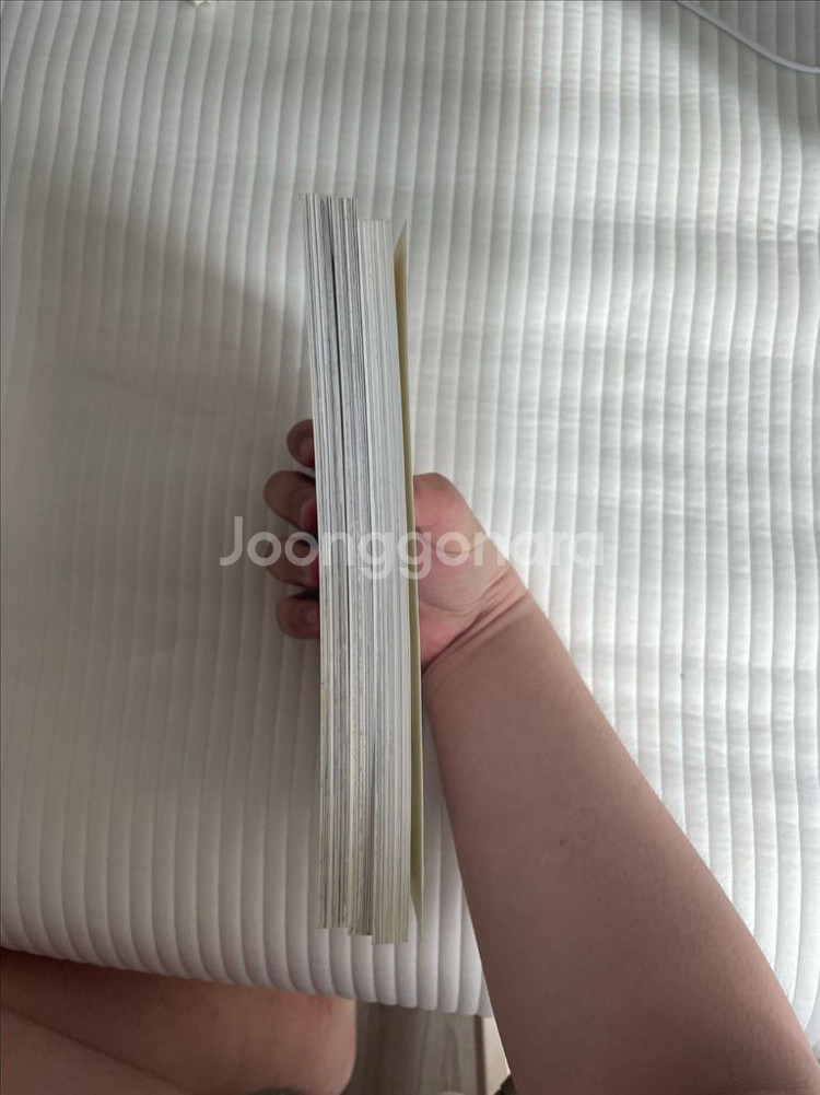 썸머 개인지 구원앞 샤이닝--3