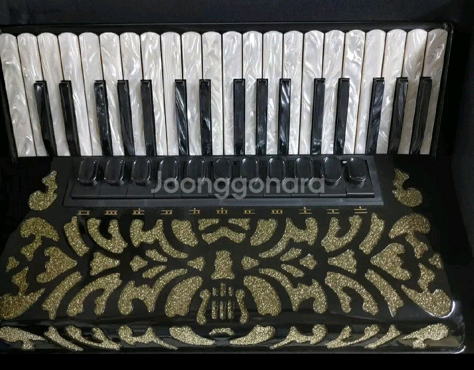 델리시아 판타지아25 아코디언 (직거래) <북수원>--1