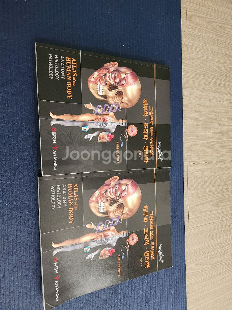 그림으로 보는 해부학 조직학 병리학--0