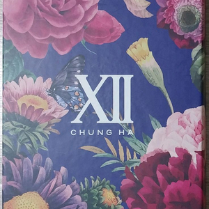 [택포] 청하 - 벌써 12시 [1만장 넘버링 한정반]