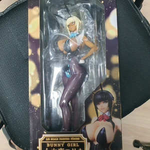큐식스 이자요이 에리카