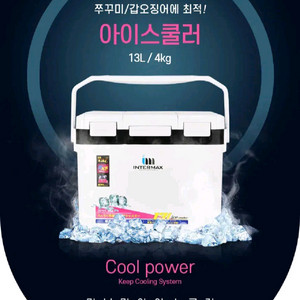 아이스박스,쿨러13리터 주꾸미,갑오징어,문어등에 적합