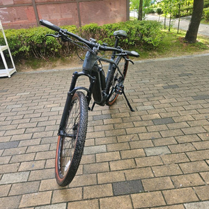 메리다 빅나인775