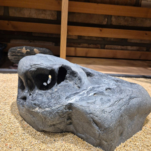 수석 북한강28/12/18