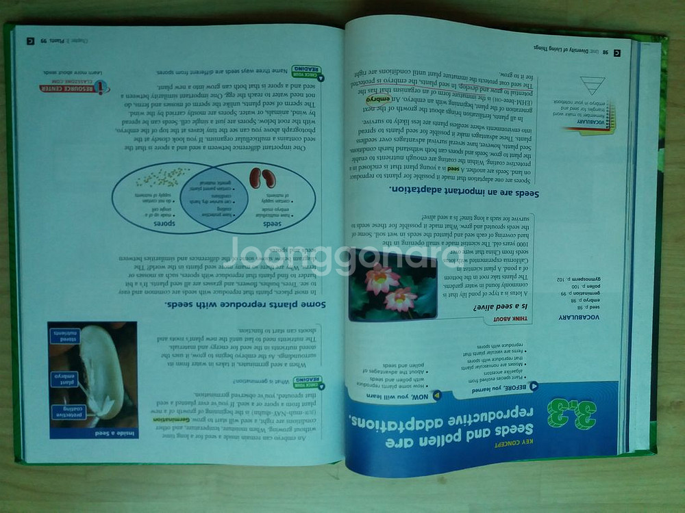 [원서] Diversity of Living Thing--3