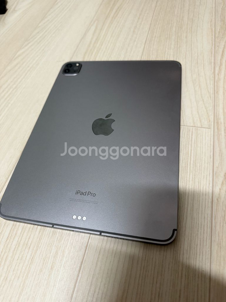 아이패드 프로 11 M2 셀룰러 256GB--0