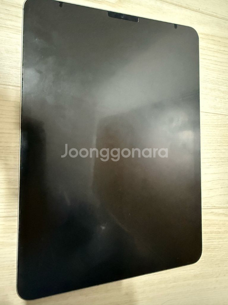 아이패드 프로 11 M2 셀룰러 256GB--1