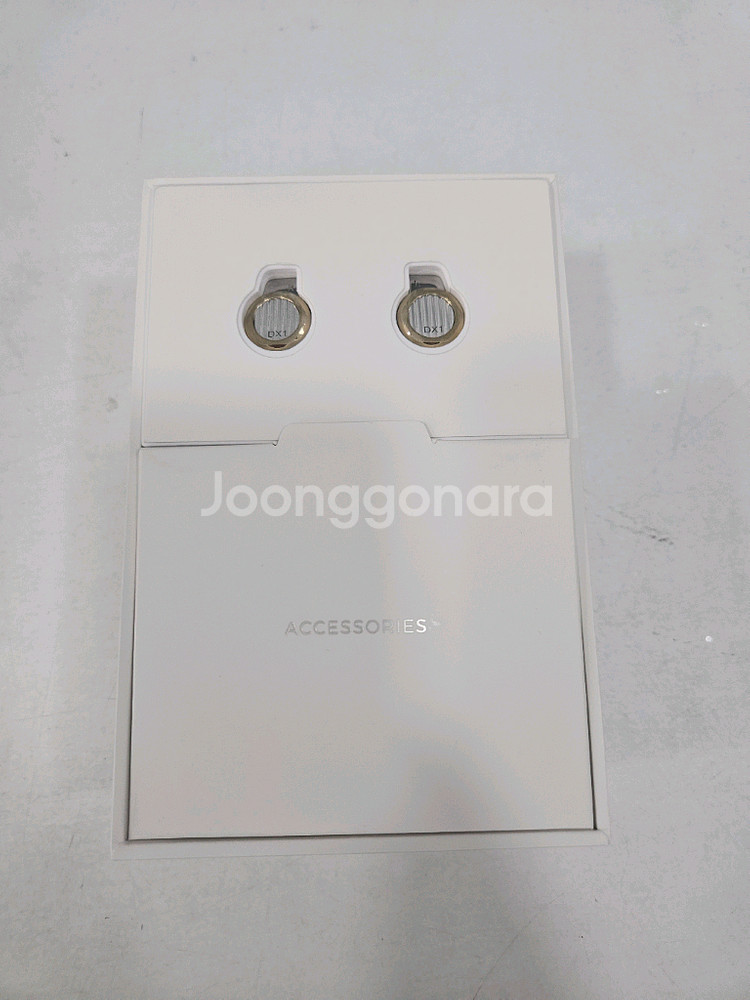 렛슈어 dx1 이어폰--1