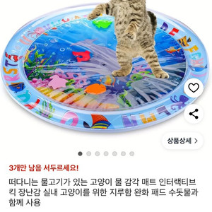 고양이 물놀이 매트