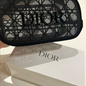 디올메쉬파우치