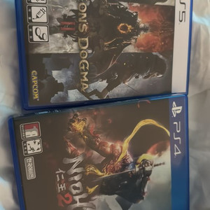 드래곤즈도그마2