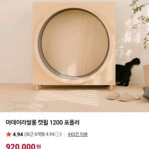마데이라쌀롱 캣휠 1200 (포플러) & 카페트(브라운