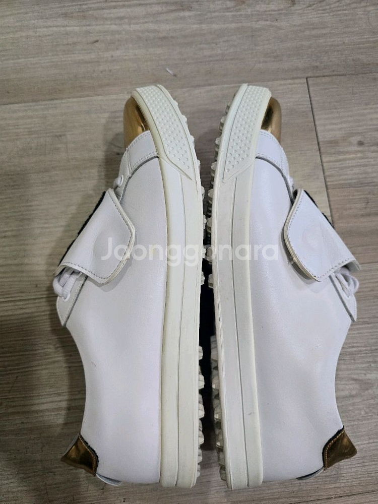 오거스타 골프 하이브리드 패치 골프화 265mm--5