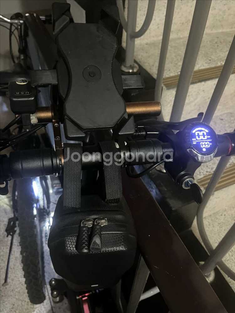알콘듀얼 전동킥보드 10인치 듀얼모터 48V 21A+충--2