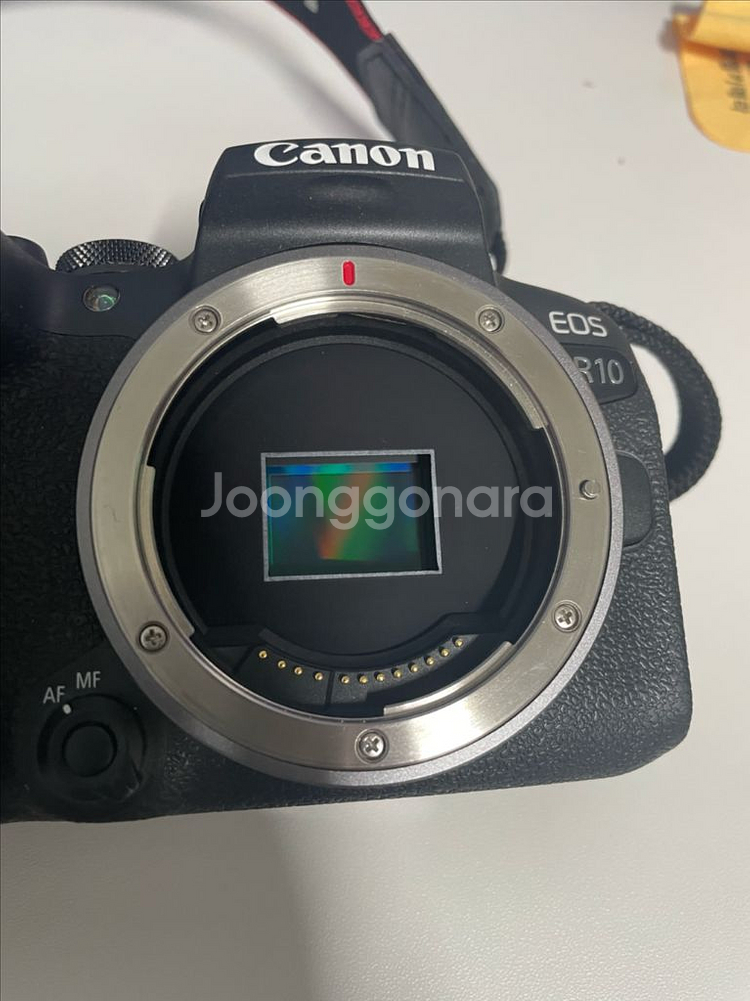 EOS R10--2