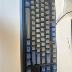 리얼포스 키보드 R2TL-US4-BK-L 팝니다