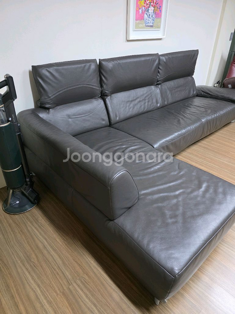 독일 명품 코이노 볼라레 콤포트 소파--4