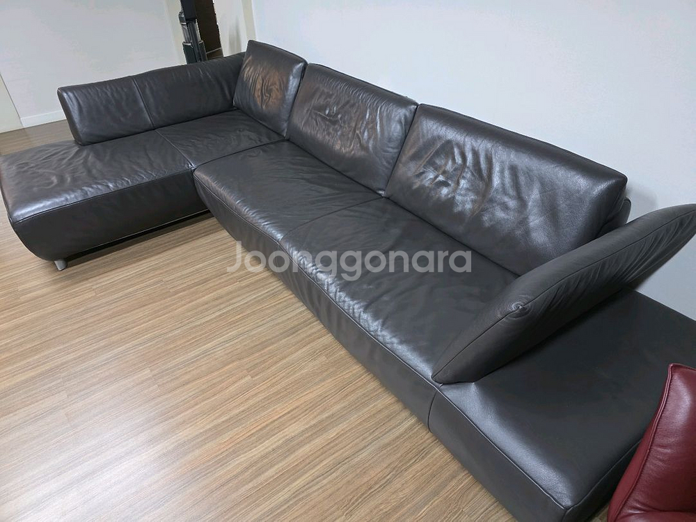 독일 명품 코이노 볼라레 콤포트 소파--1
