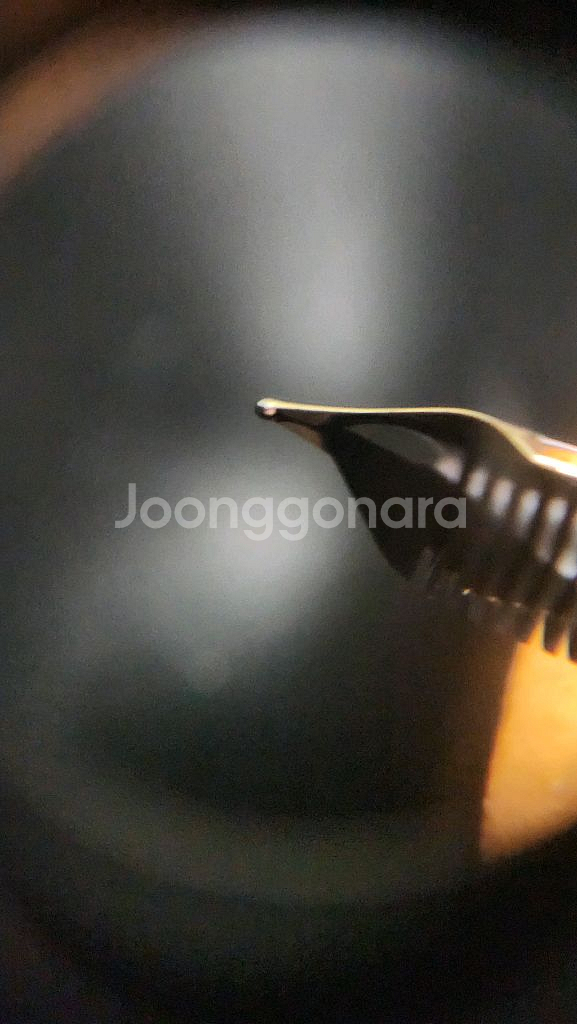 펠리칸 m800 f닙 만년필--4