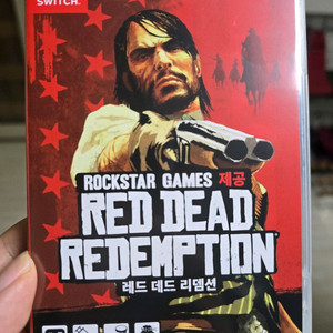 레드데드리뎀션(레데리) 스위치