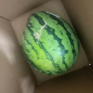 수박 나눔