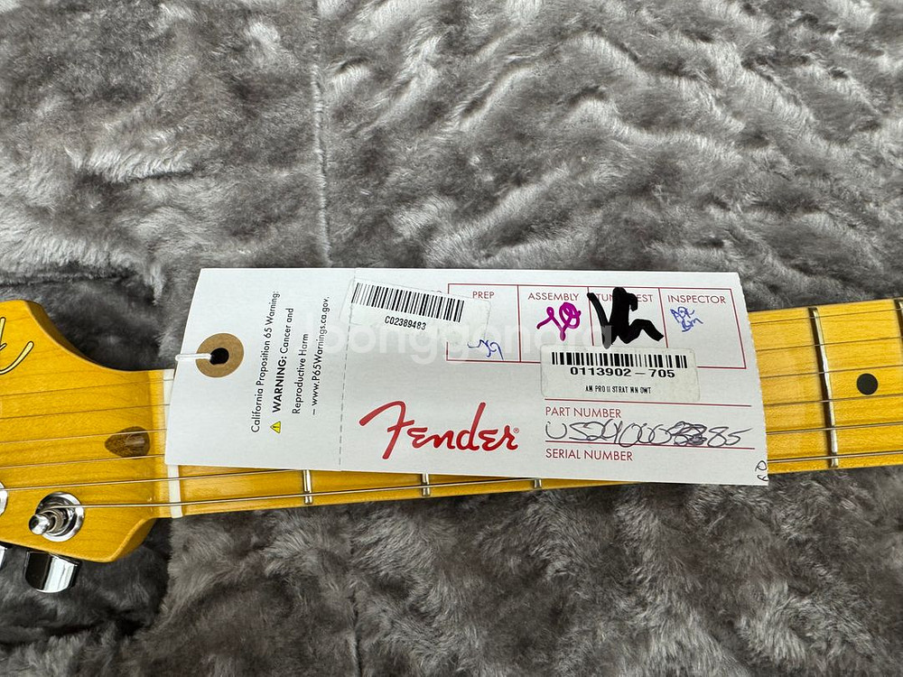 새상품 펜더 USA 아메리칸 프로페셔널 2 스트라토캐스--2